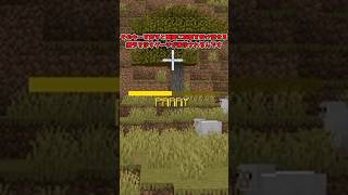この世界、「死」すら弾ける。【マイクラ】