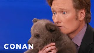 Animal Expert David Mizejewski: Brown Bear Cub & Baby Alligator - CONAN on TBS