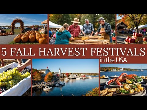 Top 5 Fall Harvest Festivals in the USA | Must-Visit Events for Autumn 2024