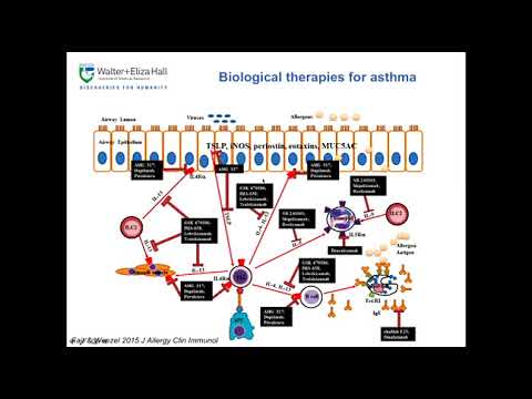 Lecture 23 Biological systems and Lung stem cells