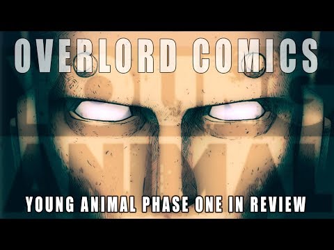 Young Animal Phase One in review