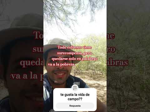 vida de campo lo mejor