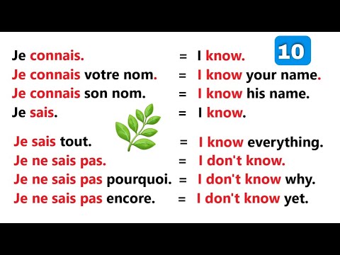 Simple sentences to learn English easily | Part 10 | ✪✪✪ Easy sentences to learn French 🌿