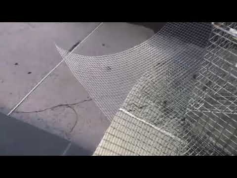 We need to catch these trap shy raccoons in Holmdel, NJ