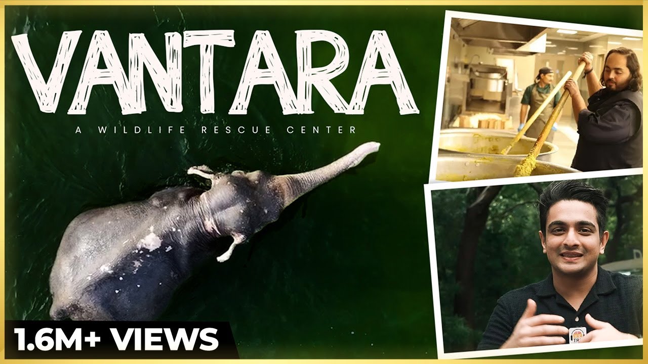 EXCLUSIVE Vlog - Anant Ambani's Vantara - Animals, Experiences & Emotions