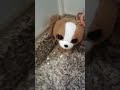 Crybaby Clean