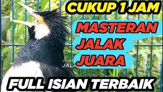 Download lagu Masteran Jalak Suren Malam Hari Gacor Full Isian Mudah Ditiru Suara Unik mantap mp3