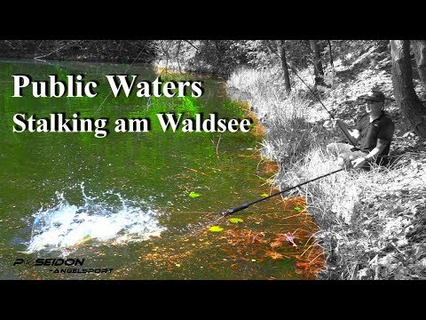 Public Waters Stalking am Waldsee