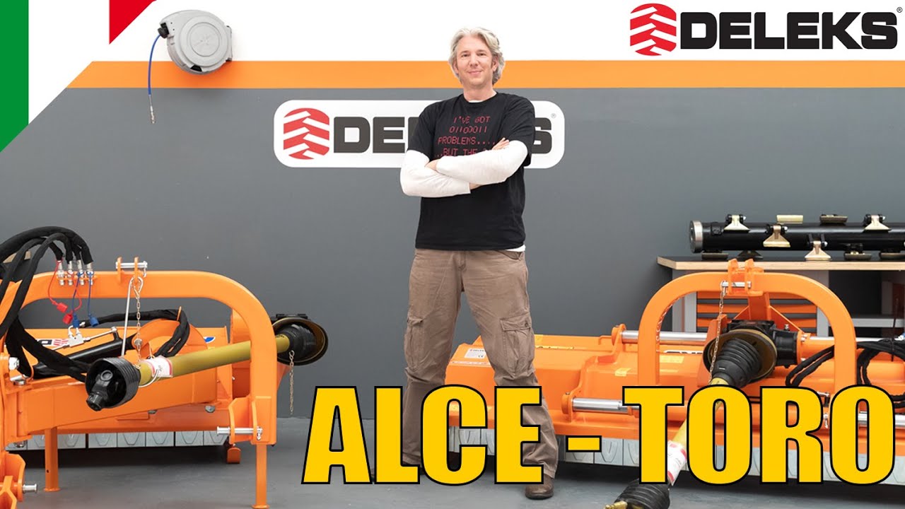 Recensione di Edd (Affari a 4 ruote)