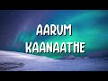 Aarum Kaanaathe Lyrics Allu Ramendran Peas