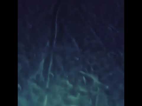 Mc Denny e Mc Menor da Vg - Gravação Novo Clipe  (Aguardem) (Prévia)