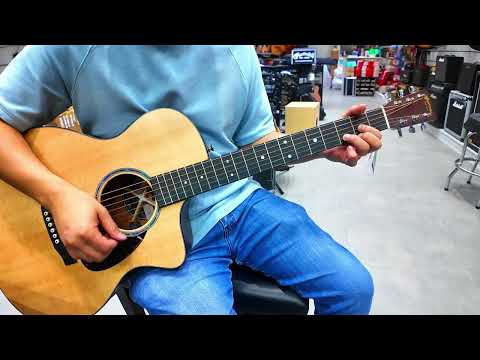 Martin D10E and Martin SC-10E