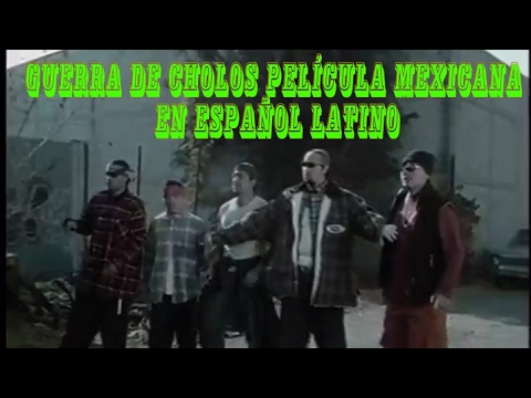 GUERRA DE CHOLOS PELÍCULA MEXICANA EN ESPAÑOL LATINO. WMA