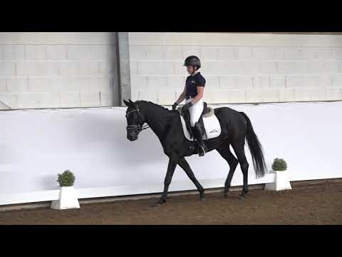 3j. Wallach v. Blackstage