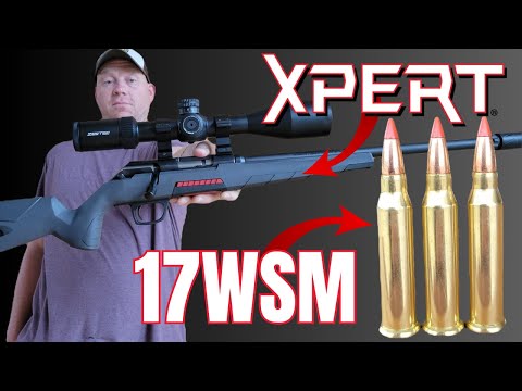 17WSM Ammo Test: Winchester XPERT
