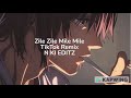 Zile Zile Mile Mile TikTok Remix Song