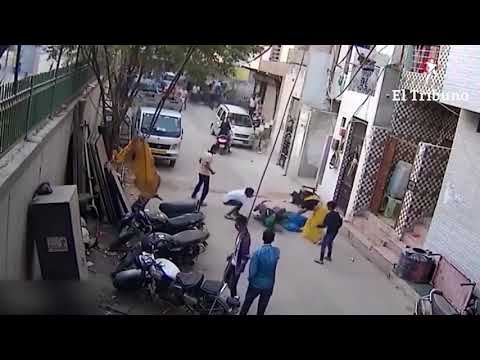 Pitbull ataca ferozmente a un niño en la India