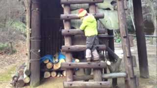 What the (Japanese) Snowman Learned About Love