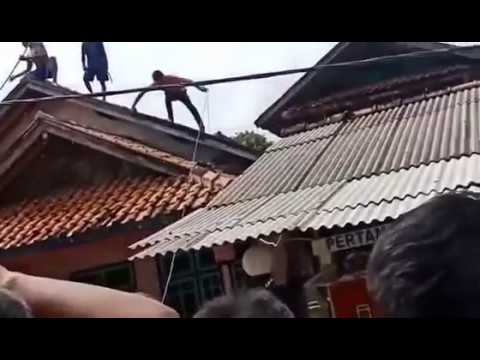 Geger Babi hutan naik atap rumah warga disangka babi ngepet