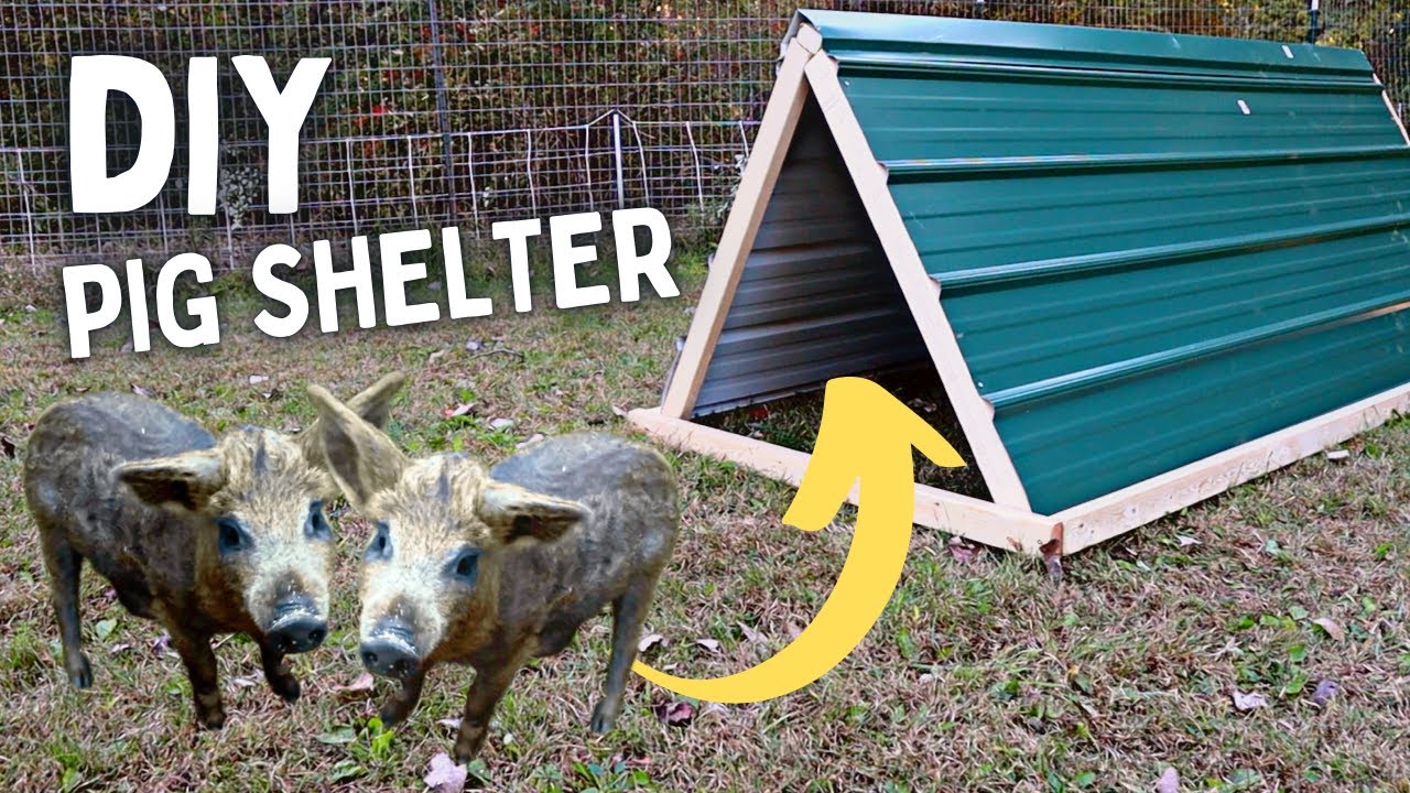 Build the PERFECT Pig Shelter for 2 Pigs (EASY and QUICK)