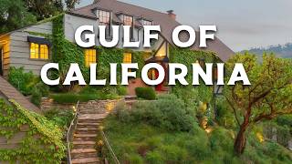 Wonders of The Gulf of California | Hidden Places I Wish I Had Found Sooner! | Travel Video 4K