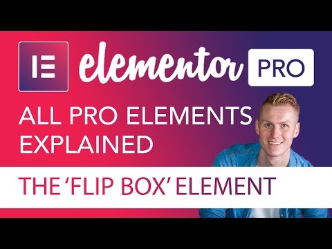 Elementor Pro And Advanced Custom Fields Tutorial 2024