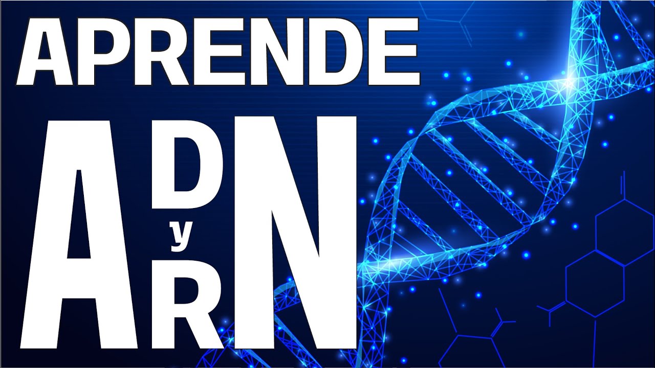¿Qué es el ADN y el ARN? | EXPLICACIÓN DEFINITIVA