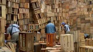 CIUDAD HUACAL DOCUMENTAL EN LA CIUDAD DE MÉXICO