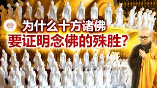 为什么十方诸佛要证明念佛的殊胜？ 👼 | 净本法师 主讲
