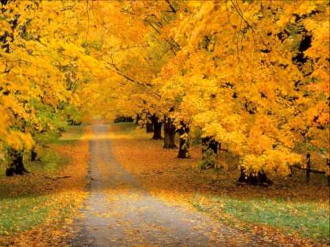 NO SE TE VEN LAS GANAS- GRUPO NICHE