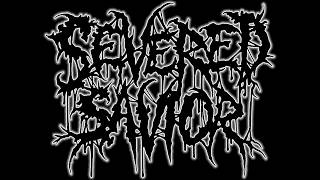 Severed Savior - Acts of Sedition - Troy Fullerton Drum Cam 2012