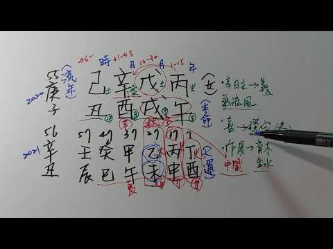 辛酉日女