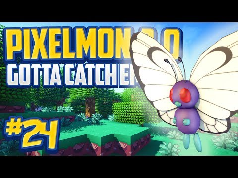 Minecraft Pixelmon 3.0 "Bug Pokemon Spree" Gotta Catch 'Em All - Episode 24 (Minecraft Pokemon Mod)