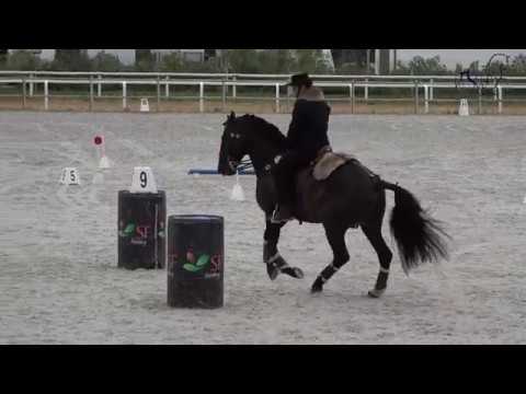 191109 Maneabilidade - Ivo Patronilho com Ébano do Rio