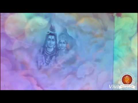 Anushree Sharma Home Ganpati Decoration Video