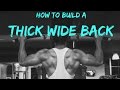 Build A Strong/Thick Back! | Back Workout with Natural Bodybuilder Michael Li