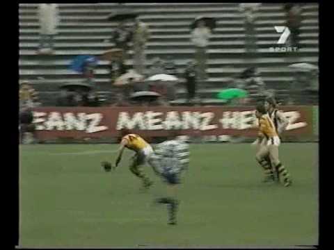 VFL R15 1981 - North Melb v Hawthorn