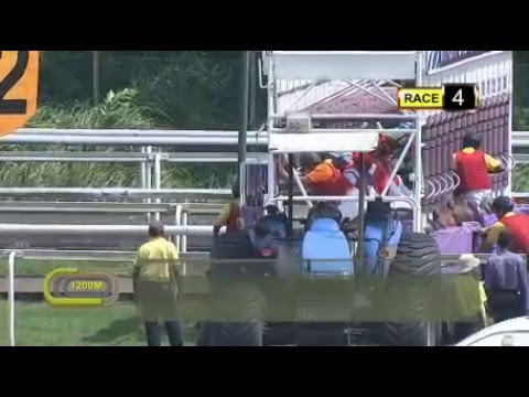Turf Club Singapore Race - 24 jan race 4 | h3asia.com
