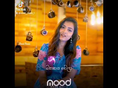 Hithata Thadin Danena(හිතට තදින් දැනෙනා)_Mahesha Sandamali #Whatsapp#Imo#FacebookStatus