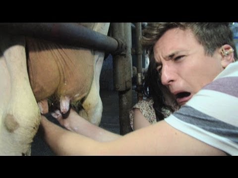 Sofa Surfing: Greg James milks a cow!