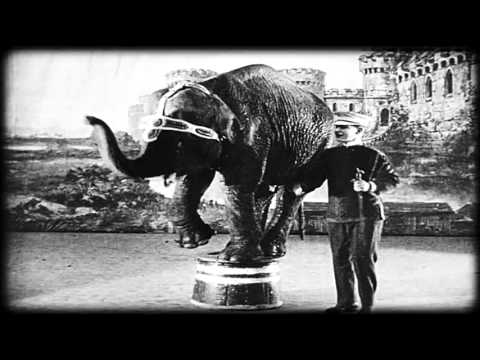 Tom Swoon vs  Nari & Milani   Stay Together Official Video