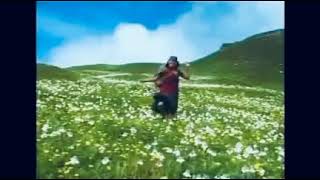 Download lagu बुकी फूल Herbe Chha-Buki Fula oldgurungmoviesong mp3 Download lagu बुकी फूल Herbe Chha-Buki Fula oldgurungmoviesong mp3