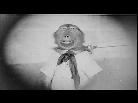 Stephan Ckoehler - Es Sind Immer Die Anderen (Official Video)