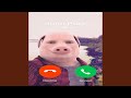 John Pork Is Calling Feat John Pork