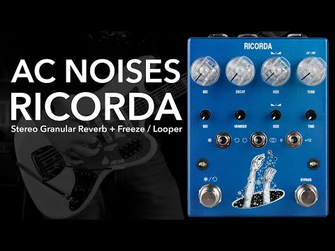 AC Noises: Ricorda // Stereo Granular Reverb & Freeze - Loop