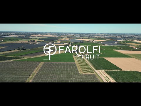 Farolfi Fruit Società Agricola