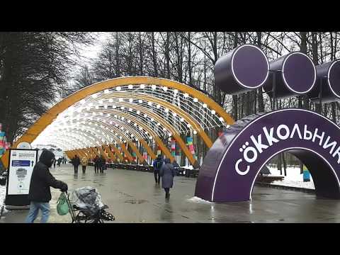 Парк Сокольники 2020, Февраль.