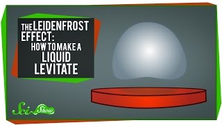 The Leidenfrost Effect: How to Make a Liquid Levitate