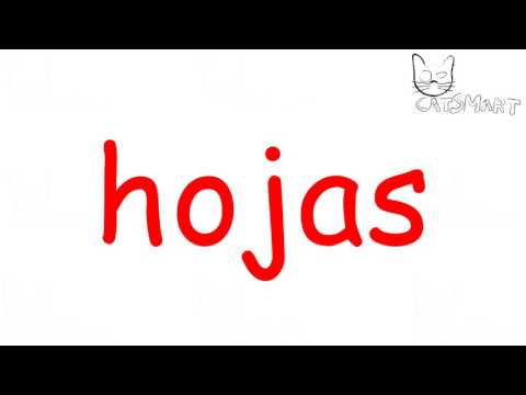 Aprender a leer para los niños Método Doman Set 1 semana 25 CatSmart