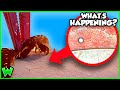 What Happens If A Centipede BITES You